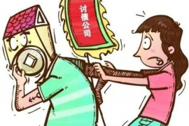 察布查尔为什么选择专业追讨公司来处理您的债务纠纷？