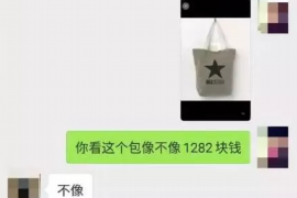察布查尔专业讨债公司有哪些核心服务？